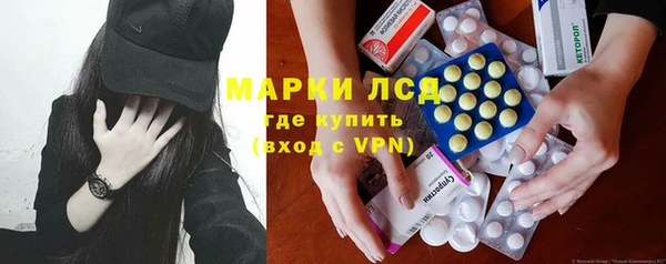 прущие грибы Аркадак
