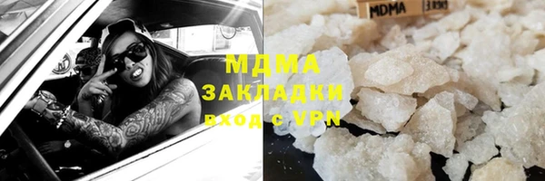 прущие грибы Аркадак