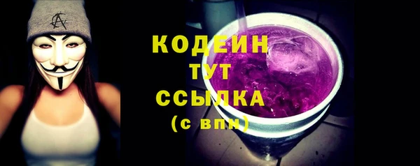 соль ск Арсеньев