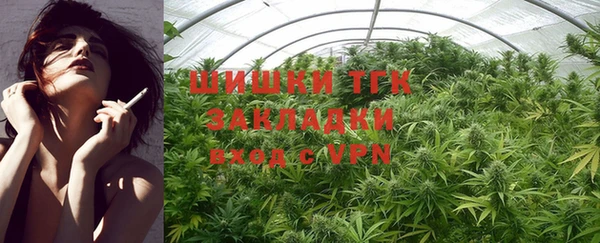 прущие грибы Аркадак