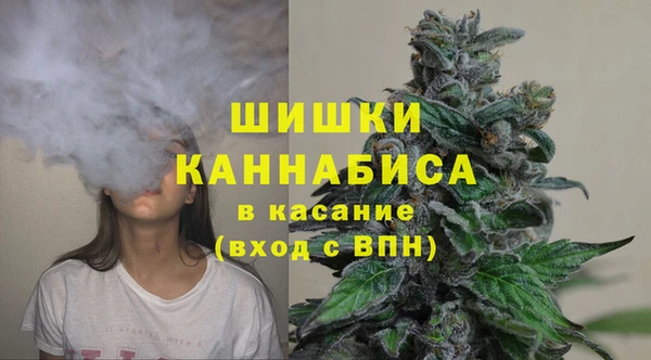 прущие грибы Аркадак