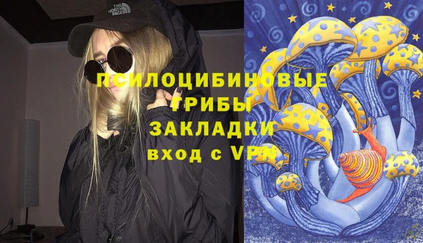прущие грибы Аркадак