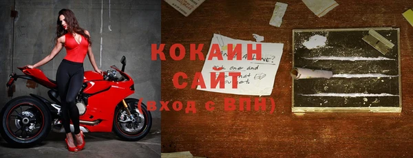 прущие грибы Аркадак