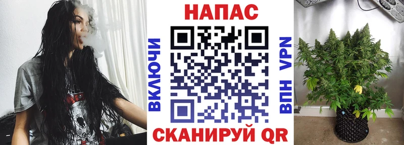 Конопля семена купить закладку Петухово
